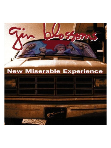 Gin Blossoms - New Miserable Experience (LP)